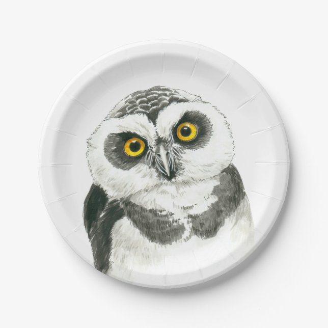 Assiettes En Carton Hibou (Devant)