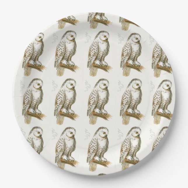 Assiettes En Carton Hibou de Milou (Devant)