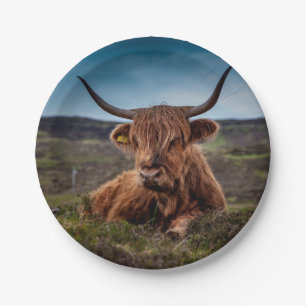 Assiettes En Carton Highland Cow