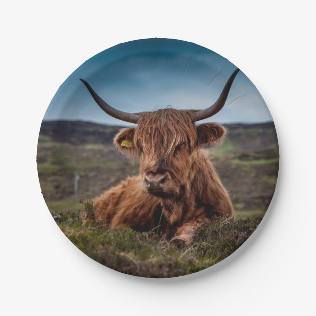Assiettes En Carton Highland Cow (Devant)