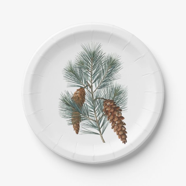 Assiettes En Carton Hiver Russe Bois Pine Cône et Branche (Devant)