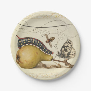 Assiettes En Carton Hoefnagel Vintage Poire & Insectes Renaissance 150