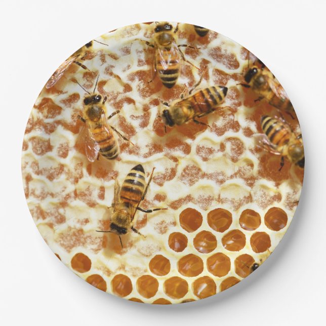 ASSIETTES EN CARTON HONEY BEES (Devant)