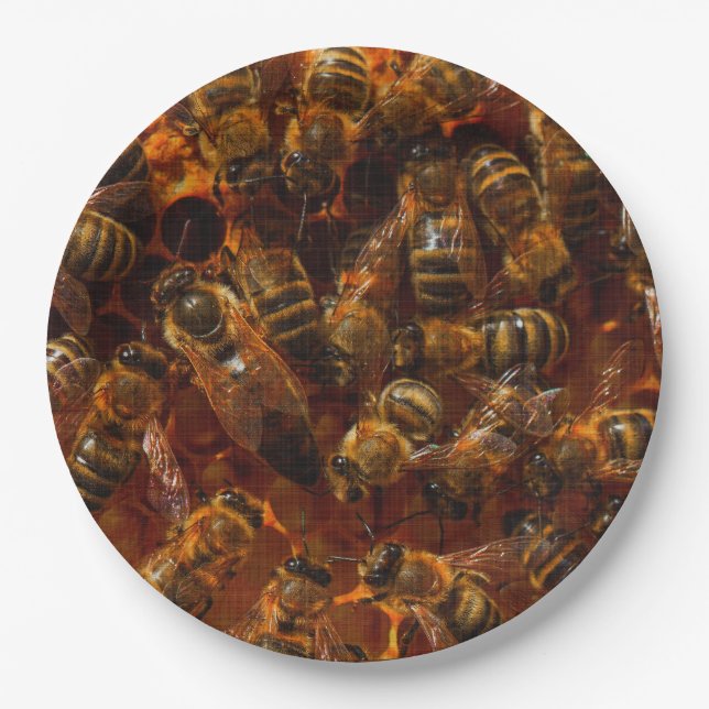 ASSIETTES EN CARTON HONEYBEES 7 (Devant)