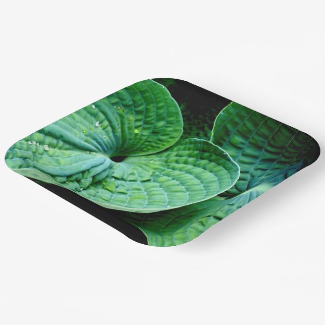 Assiettes En Carton Hosta Heart (Angulaire)