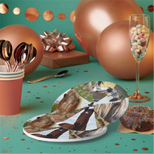 Assiettes En Carton Huit Triangles Cheval, Plaques d'anniversaire en p