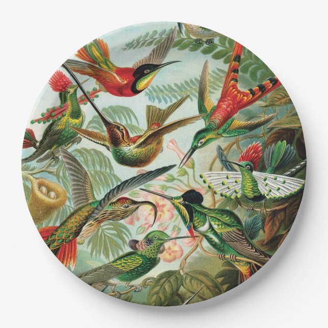Assiettes En Carton Hummingbirds par Ernst Haeckel (Devant)