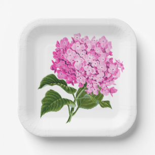 Assiettes En Carton Hydrangea Blossom rose antique