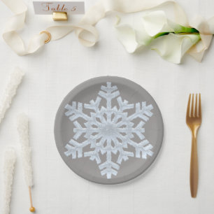 Assiettes En Carton Icy White Froid Flocon de neige Élégant gris Noël