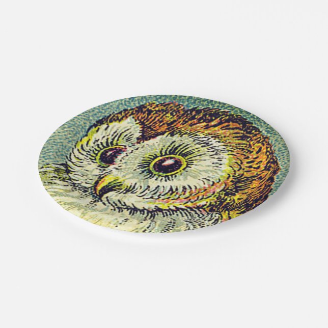 Assiettes En Carton Illustration de chouette vintage (Angle)