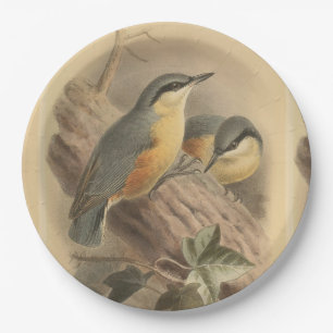 Assiettes En Carton Illustration vintage de Nuthatch