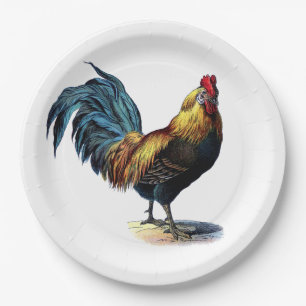 Assiettes En Carton Image colorée de cru de poulet de pays de coq