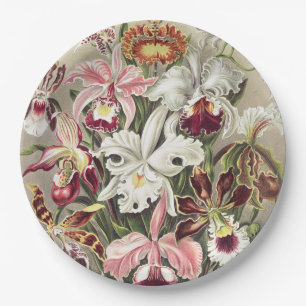 Assiettes En Carton Impression botanique vintage d'orchidée par Ernst
