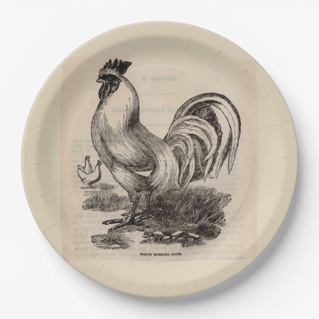 Assiettes En Carton Imprimé du 19e siècle blanc Coq Dorking (Devant)