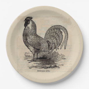 Assiettes En Carton imprimé du 19e siècle dominique fowl