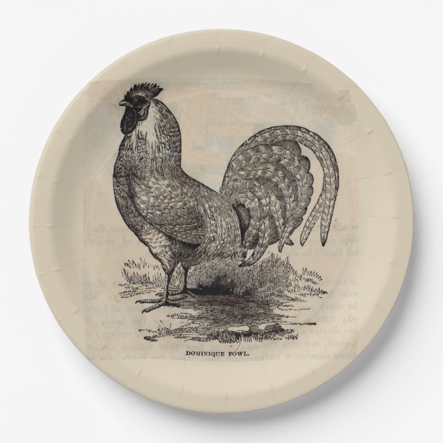 Assiettes En Carton imprimé du 19e siècle dominique fowl (Devant)