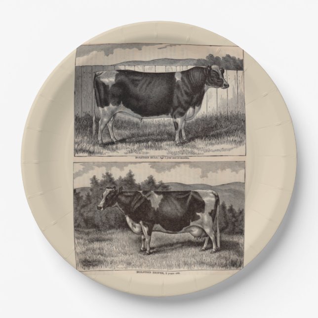 Assiettes En Carton Imprimerie du 19e siècle Holstein taureau et heife (Devant)