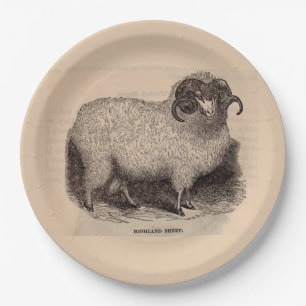 Assiettes En Carton Imprimerie du 19e siècle moutons des Highlands