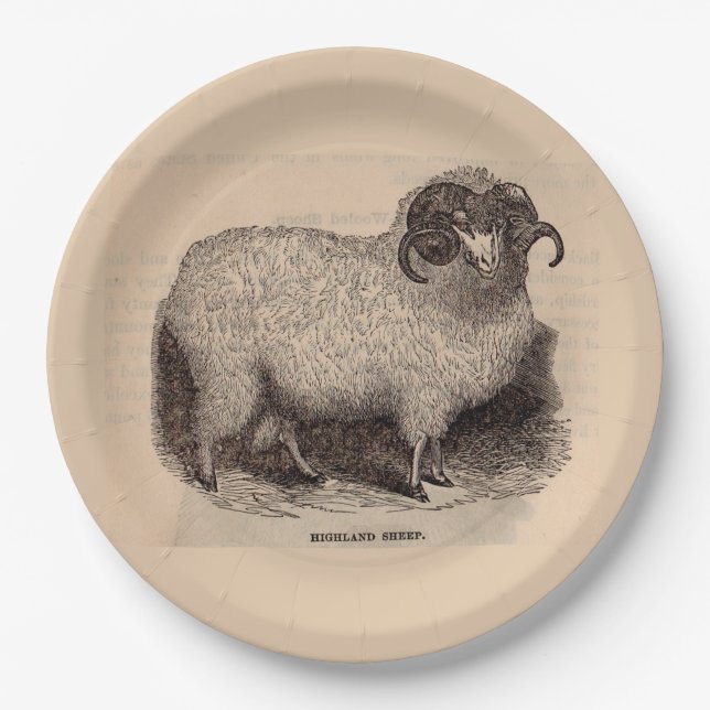 Assiettes En Carton Imprimerie du 19e siècle moutons des Highlands (Devant)