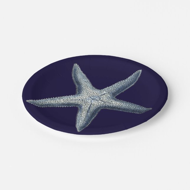 Assiettes En Carton Indigo Shells IV (Angle)