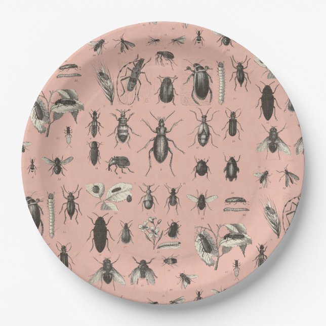 Assiettes En Carton Insectes de Yikes de mon plat (Devant)