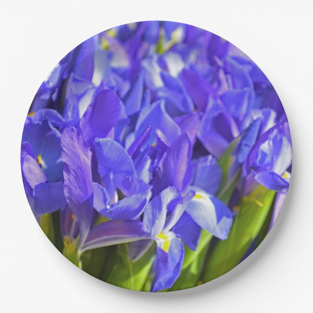 Assiettes En Carton Iris de printemps (Devant)