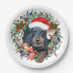 Assiettes En Carton Jagdterrier, Joyeux Noël