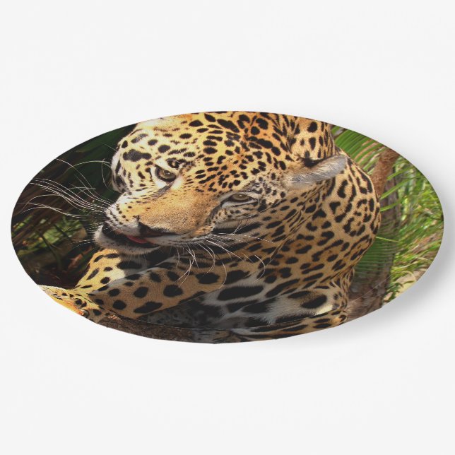 Assiettes En Carton Jaguar Adolescent (Angle)