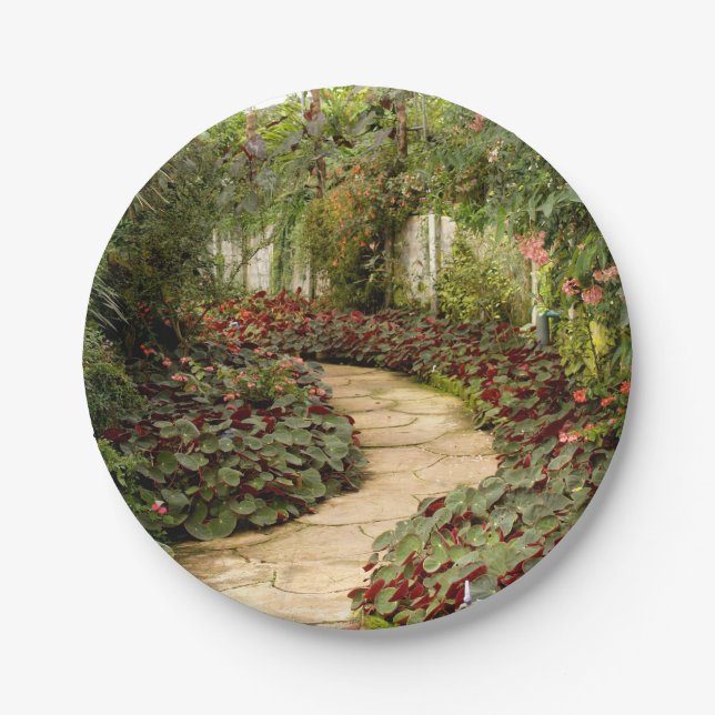 Assiettes En Carton Jardin de fées de Plaque de Papier  (Devant)