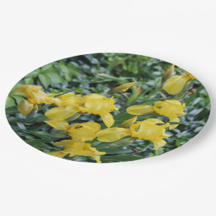 Assiettes En Carton Jardin Floral Jaune Iris
