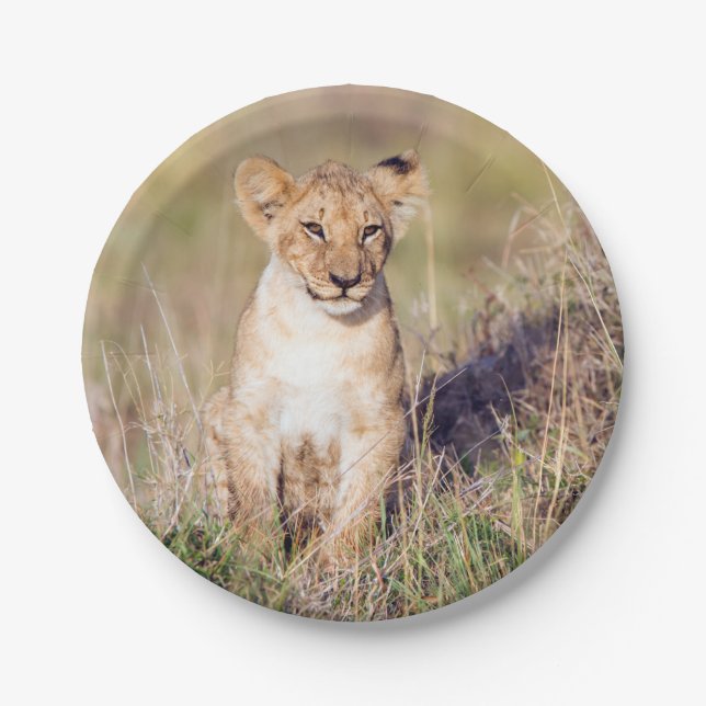 Assiettes En Carton Jeune lion (Devant)