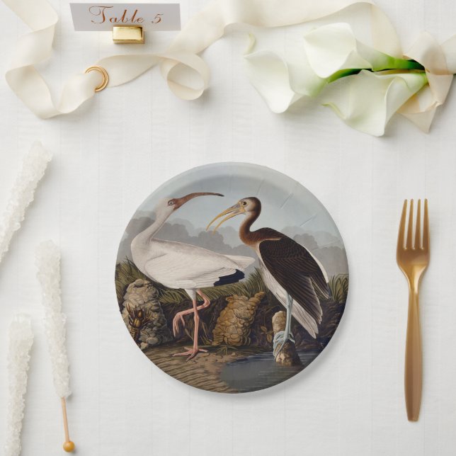 Assiettes En Carton John James Audubon White Ibis Bird Print Classic (Mariage)