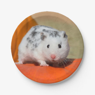 Assiettes En Carton Joli Hamster syrien blanc noir tacheté drôle ani