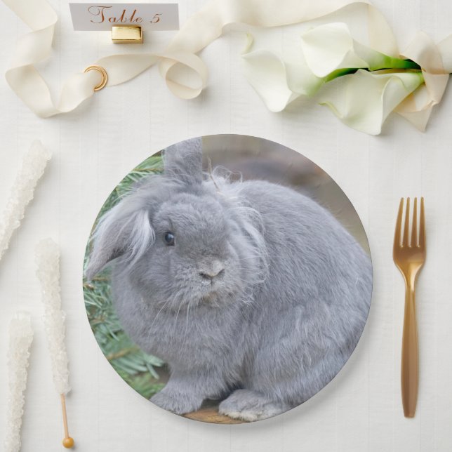 Assiettes En Carton Joli lapin gris (Mariage)