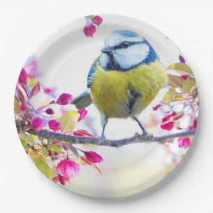 Assiettes En Carton Joli oiseau bleu et jaune sur une branche Photogra