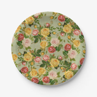 Assiettes En Carton Joli pays Vintage Floral Girly Rose Motif