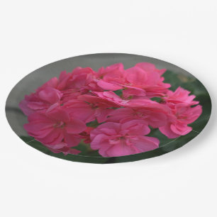 Assiettes En Carton Joli Rose Geranium Floral