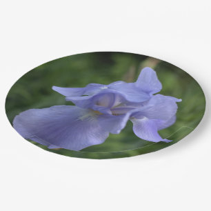 Assiettes En Carton Jolie ceinture bleue Iris Fleur