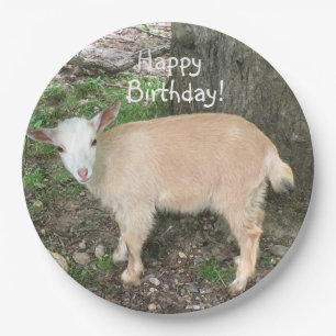 Assiettes En Carton Joyeux anniversaire Adorable Baby Goat