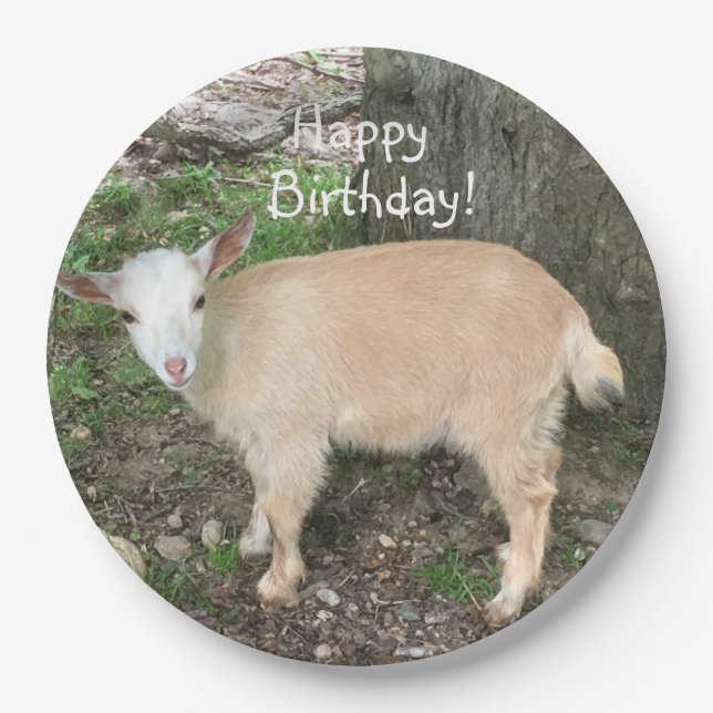 Assiettes En Carton Joyeux anniversaire Adorable Baby Goat (Devant)