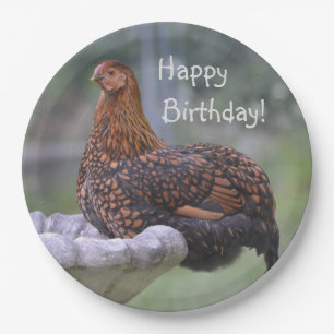 Assiettes En Carton Joyeux Bain d'anniversaire Poulet