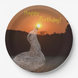 Assiettes En Carton Joyeux coucher du soleil d'anniversaire
