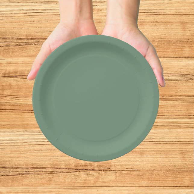 Assiettes En Carton Joyeux Noël Vert (Créateur téléchargé)