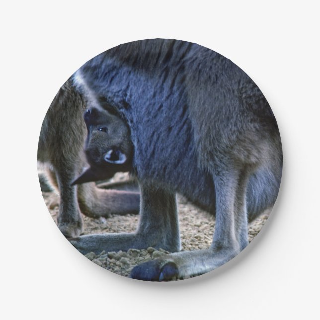 Assiettes En Carton Kangourou bébé dans la poche de la mère - Australi (Devant)