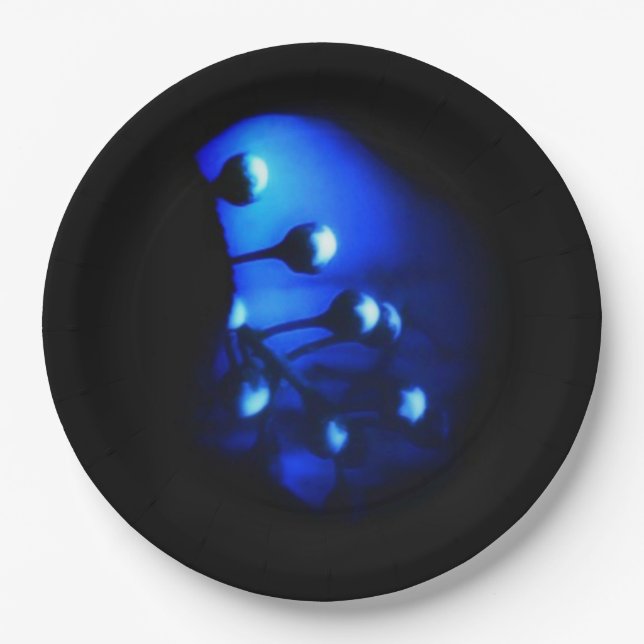 Assiettes En Carton Kate (Devant)