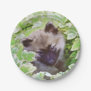 Assiettes En Carton Keeshond Puppy in the Garden Peinture Art original