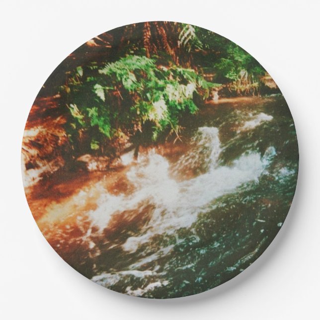 Assiettes En Carton Kerosene Creek, Rotorua, Nouvelle-Zélande (Devant)