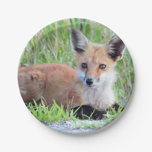 Assiettes En Carton Kit Red Fox