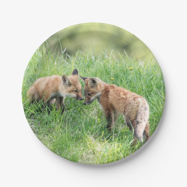 Assiettes En Carton Kits de Fox rouge (Devant)