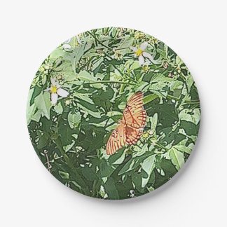 Assiettes En Carton La nature à son meilleur